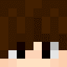 Conxexion Minecraft head