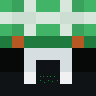 Dol9hin Minecraft head