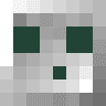 tooslowww Minecraft head